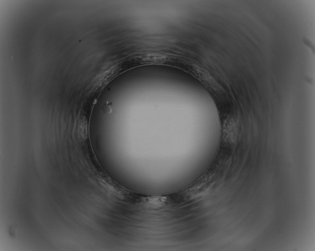 X0000091890474200709191221