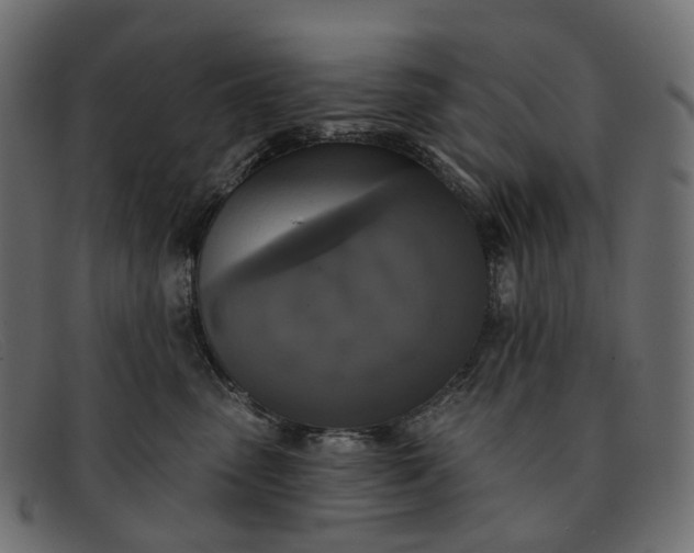 X0000091890475200709191221