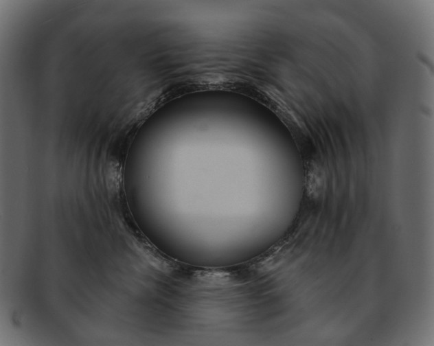 X0000091890476200709191221