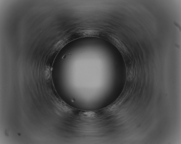 X0000091890478200709191221