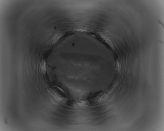 X0000091890479200709191221