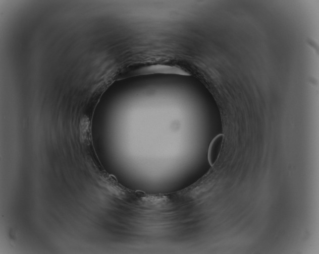 X0000091890480200709191221
