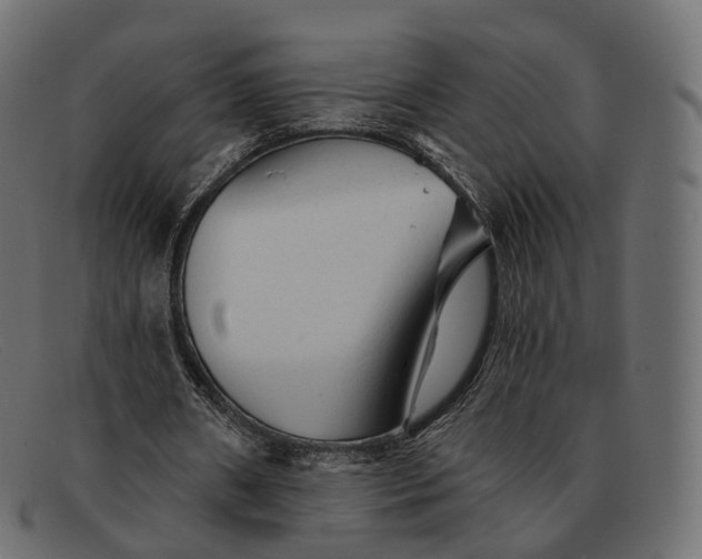 X0000091890482200709191220