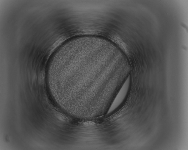 X0000091890483200709191220
