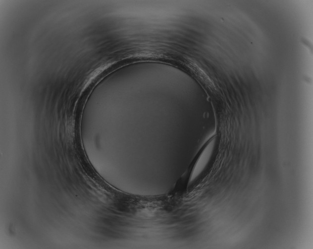 X0000091890484200709191220