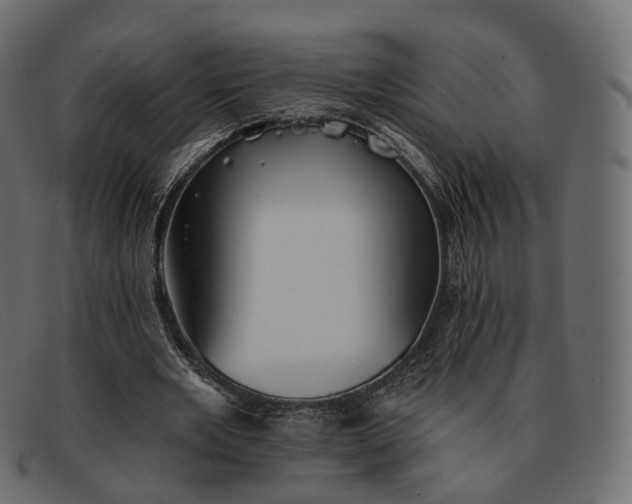 X0000091890485200709191220
