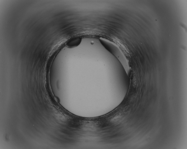 X0000091890486200709191220
