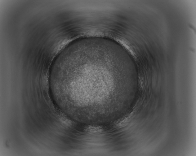 X0000091890487200709191220