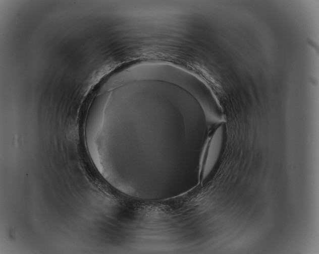 X0000091890488200709191220