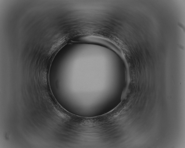 X0000091890489200709191220