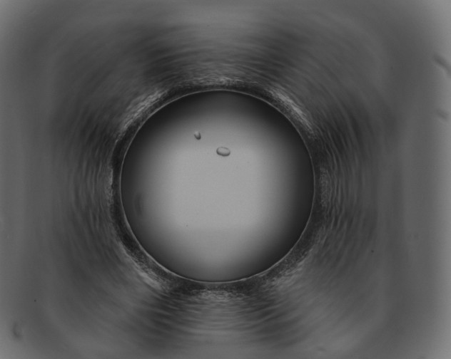 X0000091890490200709191220
