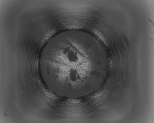 X0000091890491200709191220