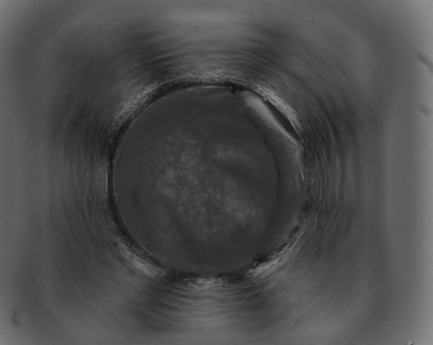 X0000091890493200709191220