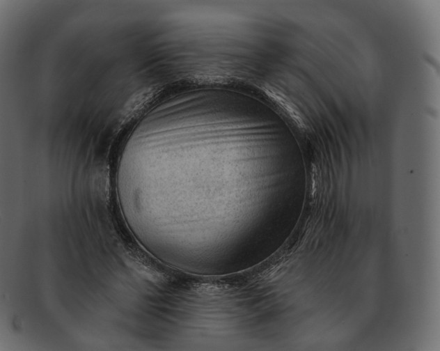 X0000091890494200709191220