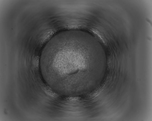 X0000091890495200709191220