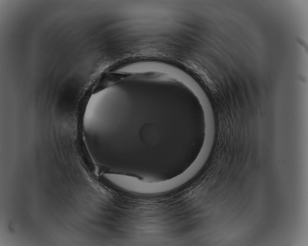 X0000091890496200709191220