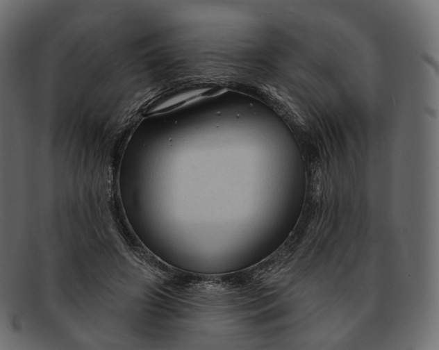 X0000091890498200709191220