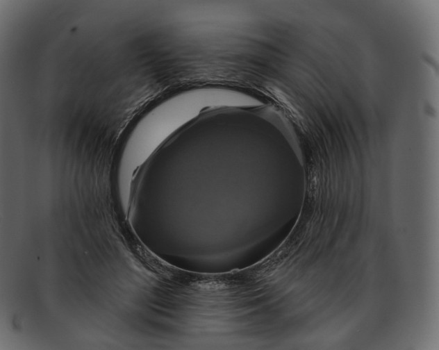 X0000091890500200709191220