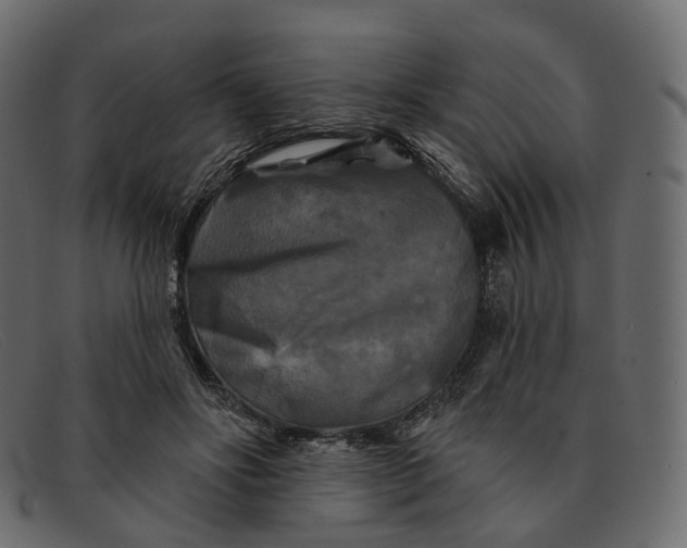 X0000091890502200709191220