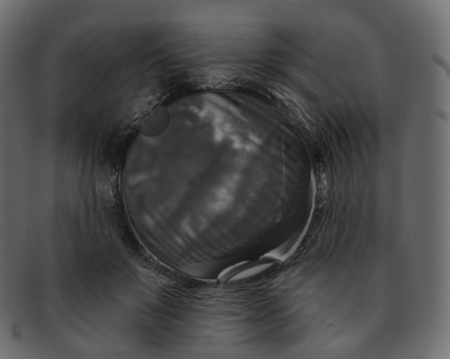 X0000091890503200709191220