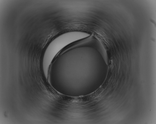 X0000091890504200709191220