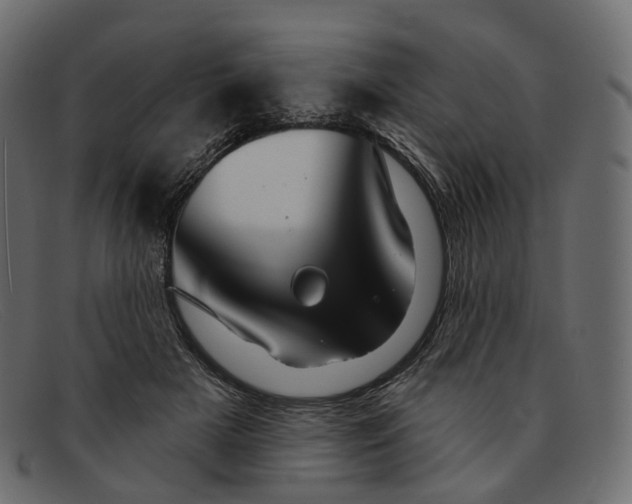 X0000091890505200709191220