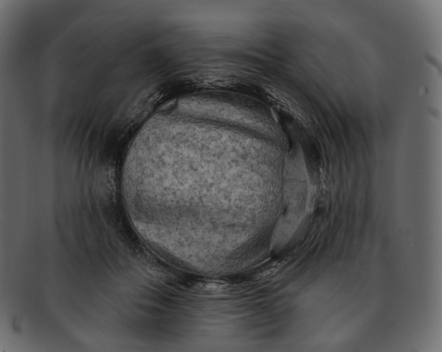 X0000091890506200709191220