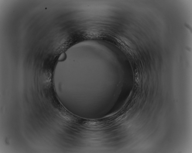 X0000091890507200709191220
