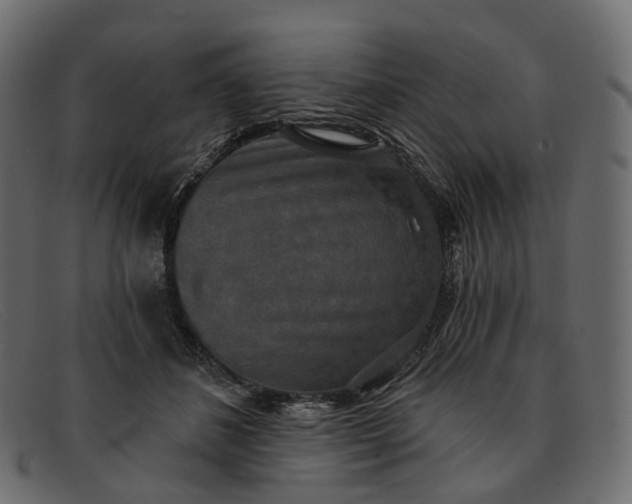 X0000091890508200709191220