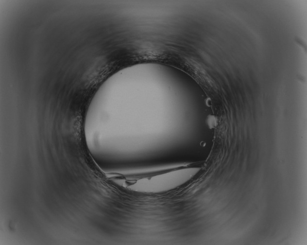 X0000091890509200709191220