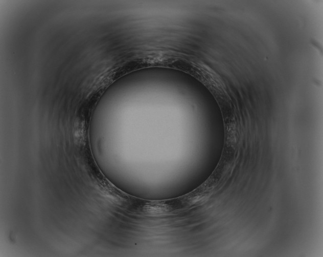 X0000091890510200709191220
