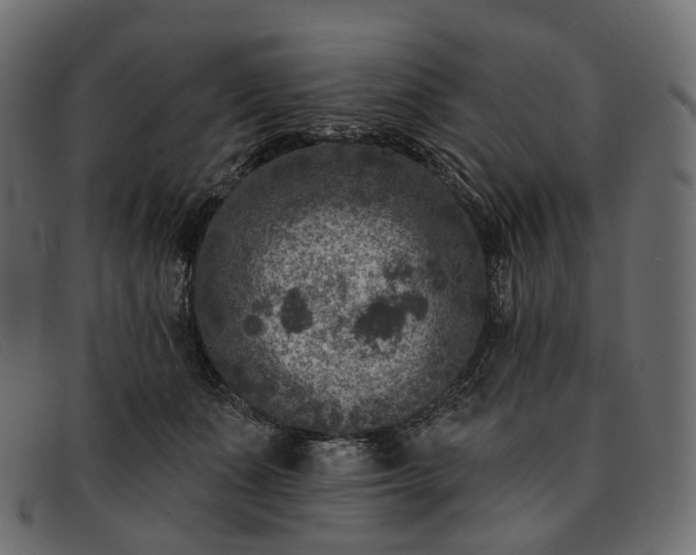 X0000091890511200709191220