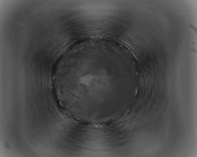 X0000091890512200709191220