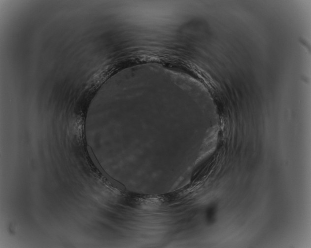 X0000091890513200709191220