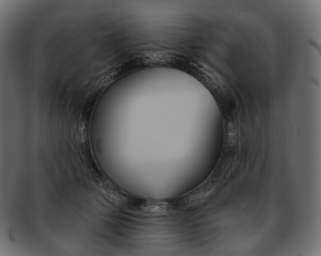 X0000091890514200709191220