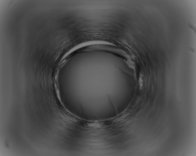 X0000091890516200709191220