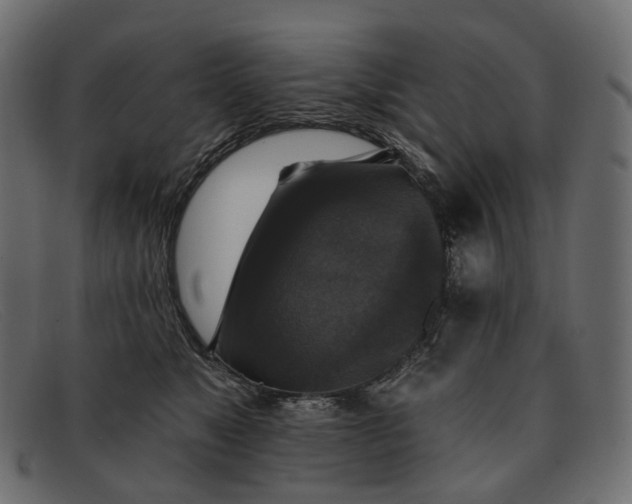 X0000091890517200709191220