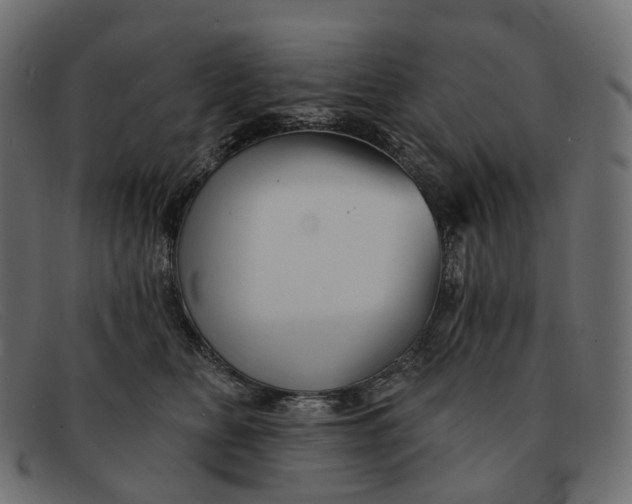 X0000091890518200709191220