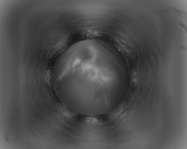 X0000091890519200709191220