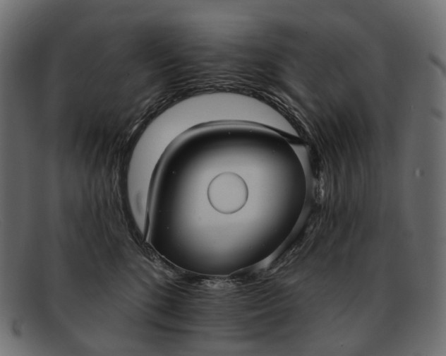 X0000091890520200709191220