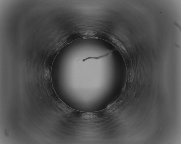 X0000091890521200709191220