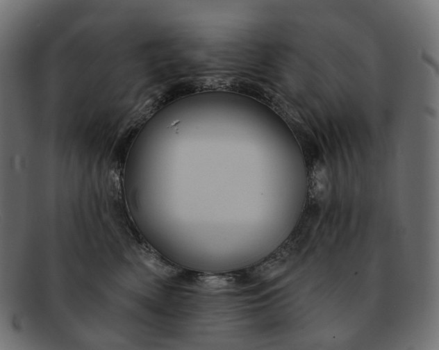 X0000091890522200709191220