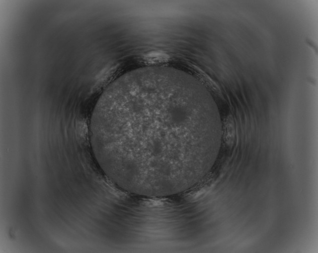 X0000091890523200709191220