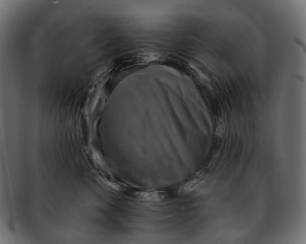 X0000091890524200709191220