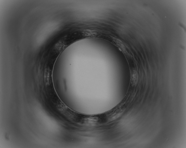 X0000091890525200709191220