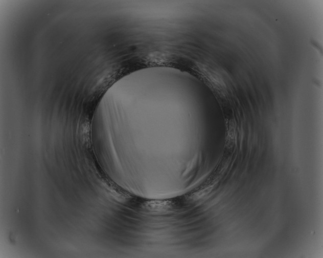 X0000091890526200709191220