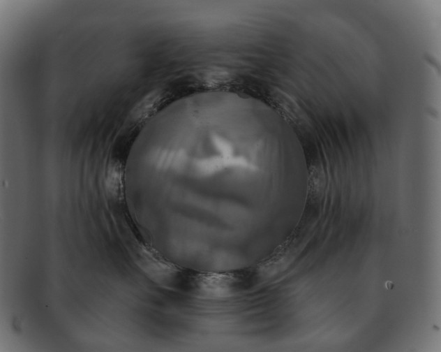X0000091890527200709191220