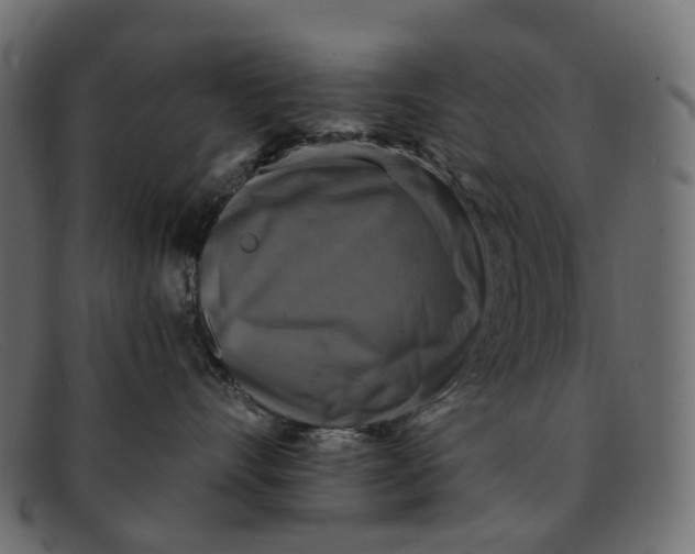 X0000091890528200709191220