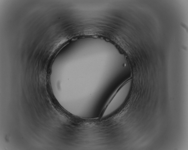 X0000091890530200709191219