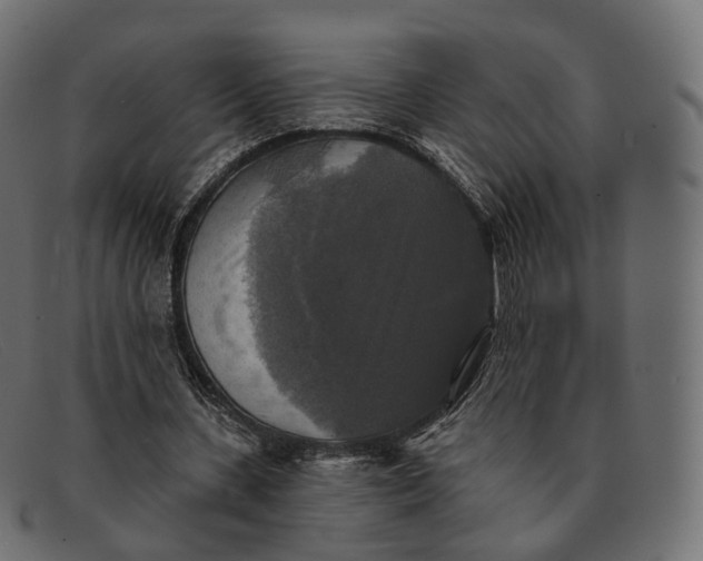 X0000091890531200709191219